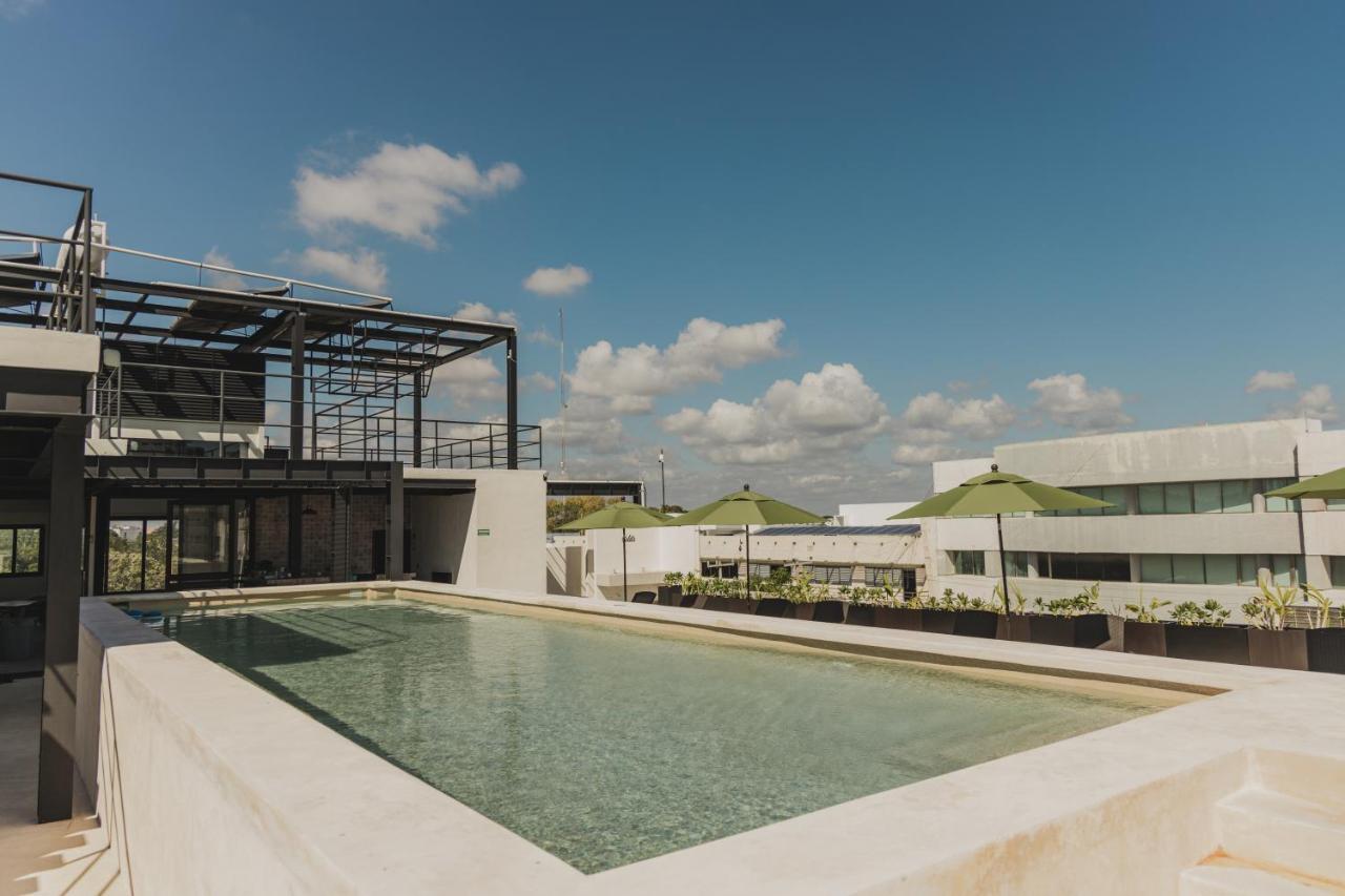 Caleta Hostel Rooftop & Pool 칸쿤 외부 사진