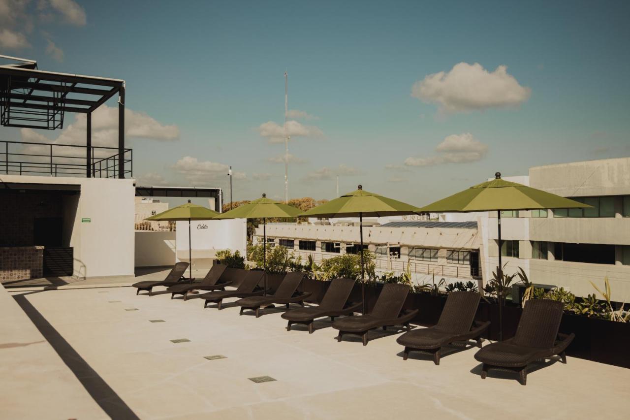 Caleta Hostel Rooftop & Pool 칸쿤 외부 사진