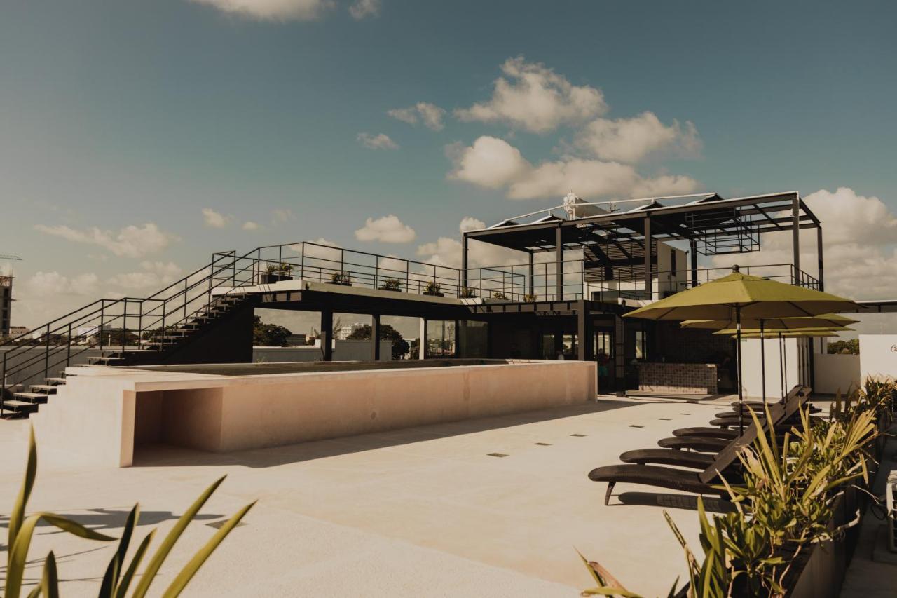 Caleta Hostel Rooftop & Pool 칸쿤 외부 사진