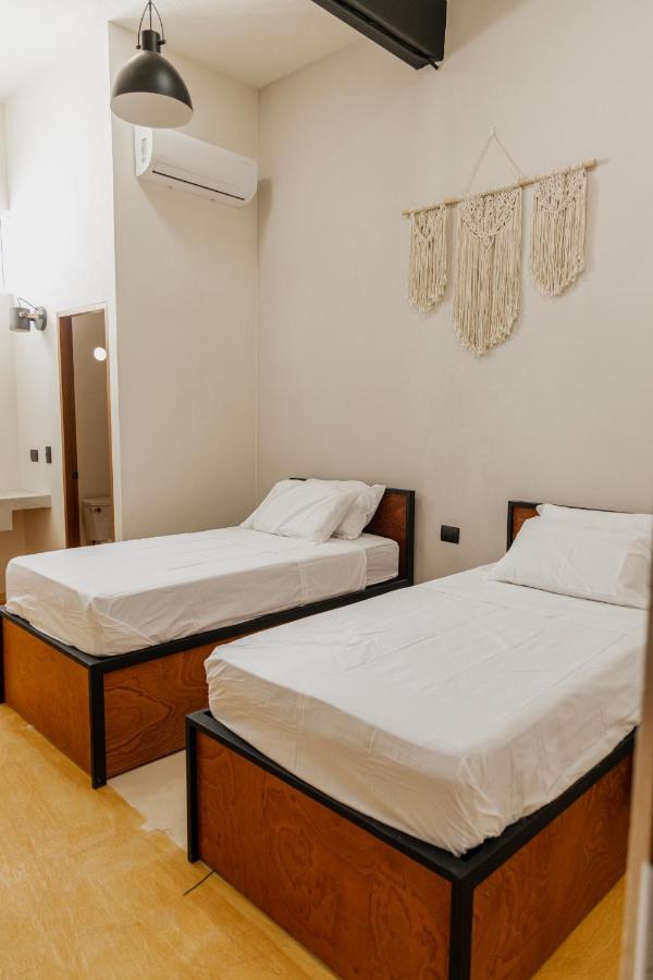 Caleta Hostel Rooftop & Pool 칸쿤 외부 사진